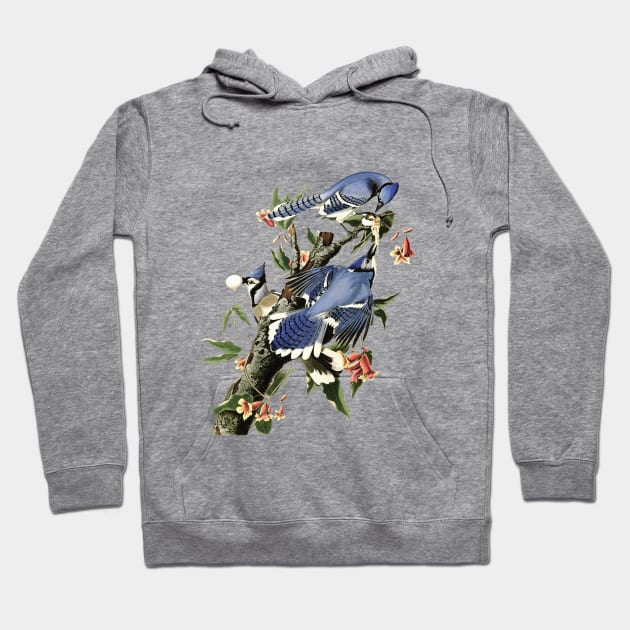 Vintage Blue Jay Illustration 1838 Hoodie by ariel161